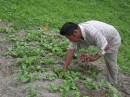 Jacobo was also one of the recipients of a grant from the plantation project funded through FEBES