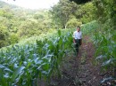 Pictures of the plantation projects