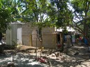 Note the bamboo platform!